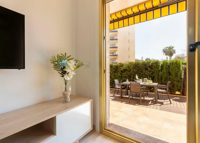Cordoba Premium